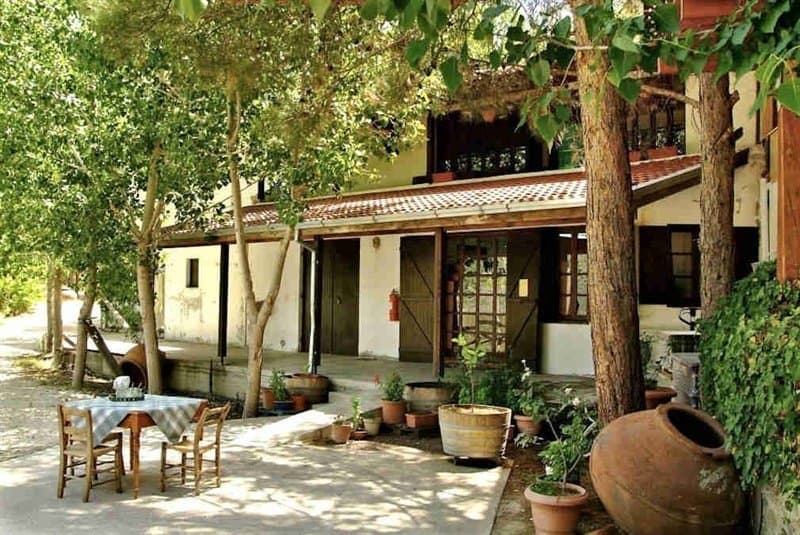 AnyConv.com__ImageStream (2).jpeg